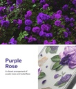 Iphone 14 Pro Max / Forro Ringke Fusion Estampado / Flores Purpura